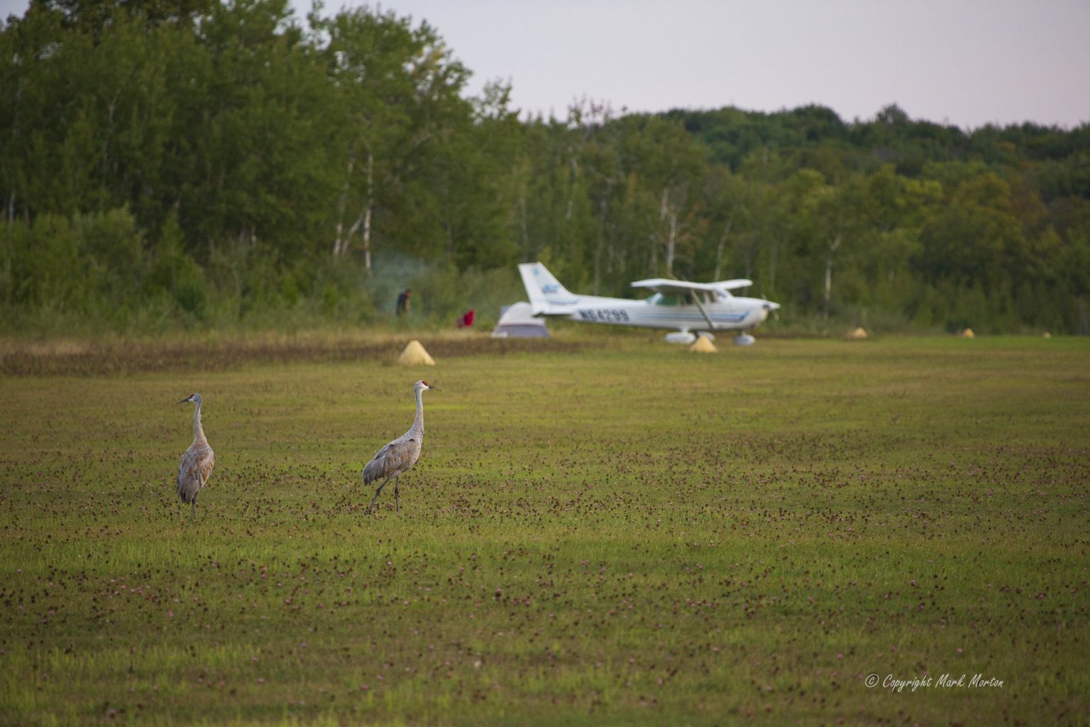 Woolsey Airport Leelanau Township